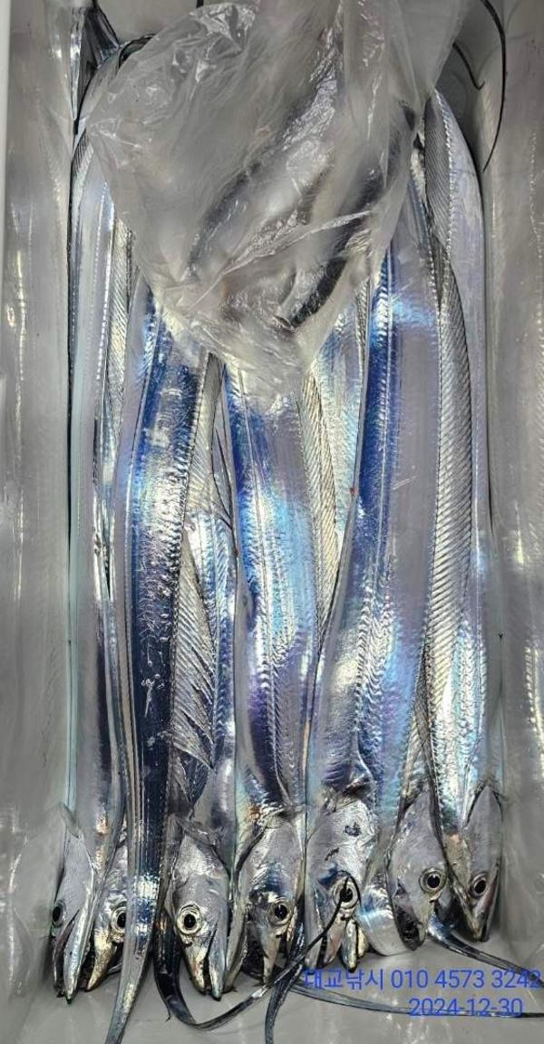 기타 (직접입력), 삼포대교낚시, 낚시뚜