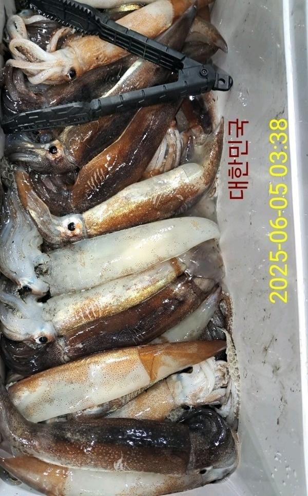 기타 (직접입력), 삼포대교낚시, 낚시뚜