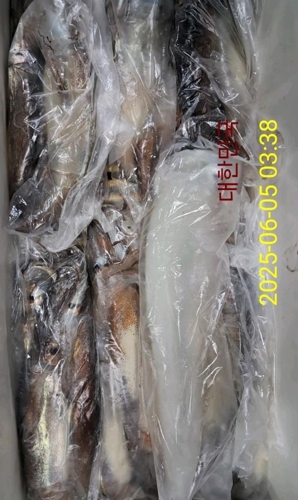 기타 (직접입력), 삼포대교낚시, 낚시뚜