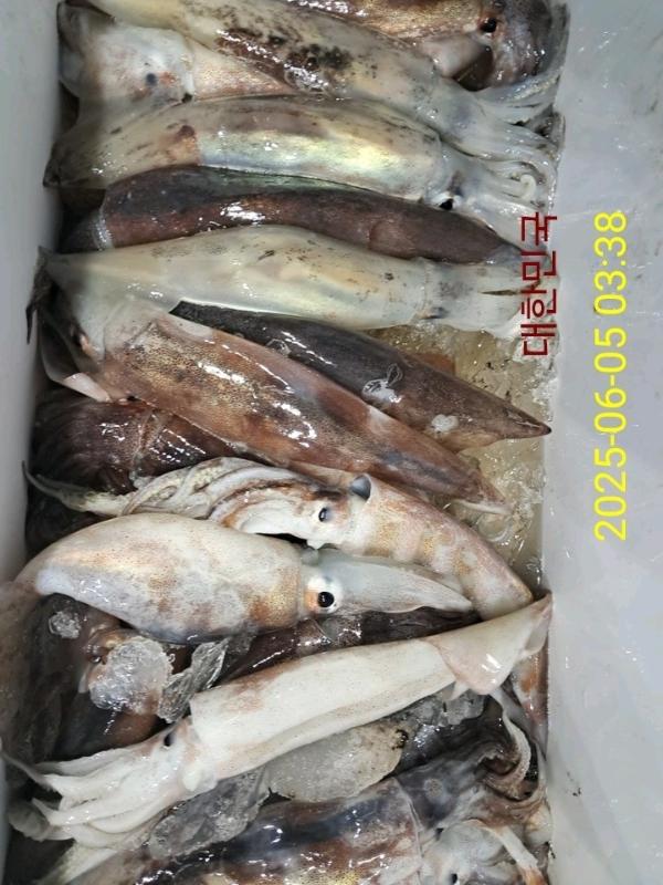 기타 (직접입력), 삼포대교낚시, 낚시뚜