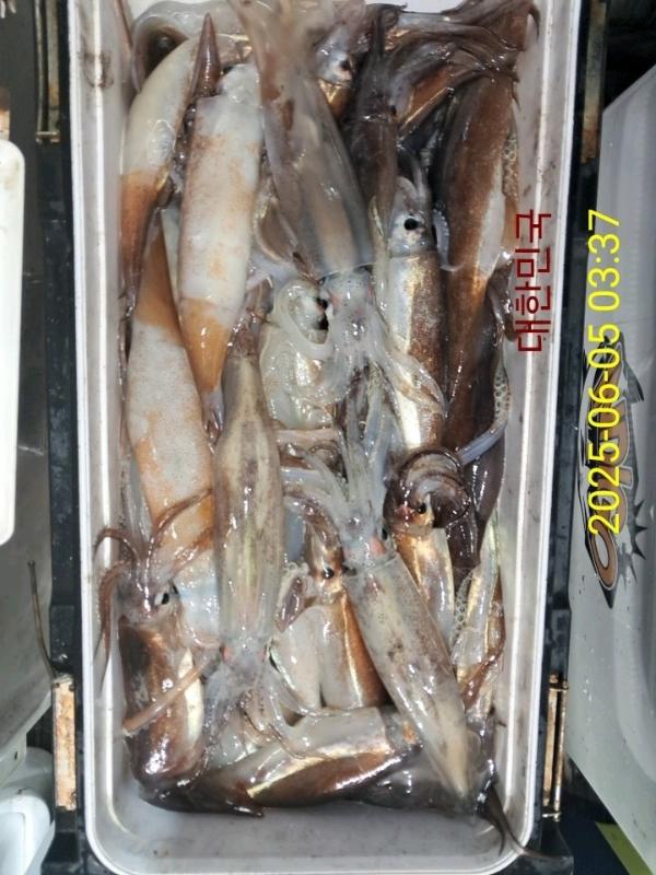 기타 (직접입력), 삼포대교낚시, 낚시뚜