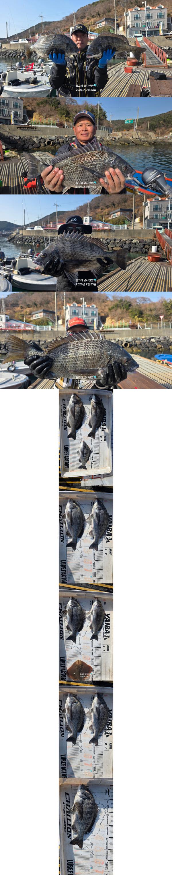 ������, ǳȭ������������, ���ö�