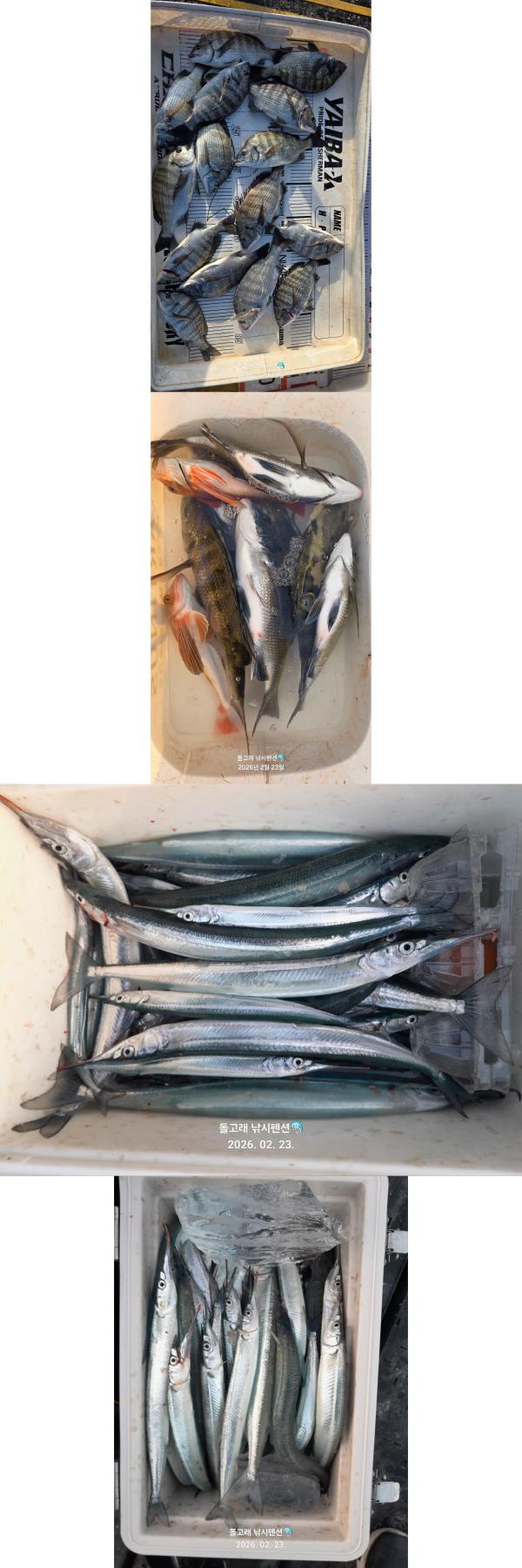 ������, ǳȭ������������, ���ö�