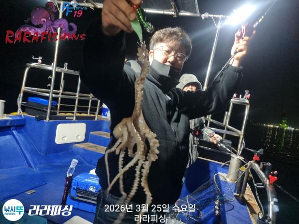 낚시뚜,낙지,돌문어,속천항(진해),라라피싱,낚시뚜24