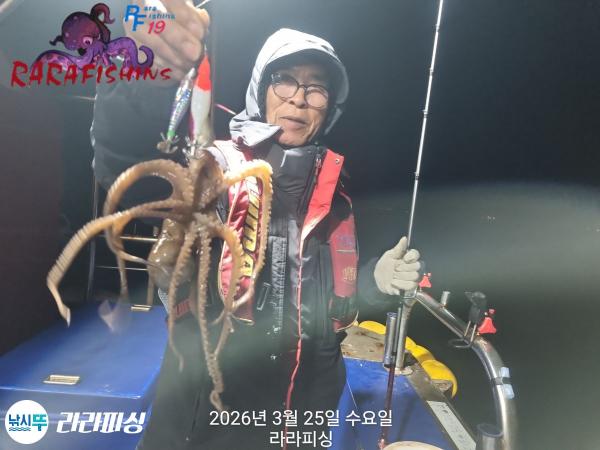 낚시뚜,낙지,돌문어,속천항(진해),라라피싱,낚시뚜23