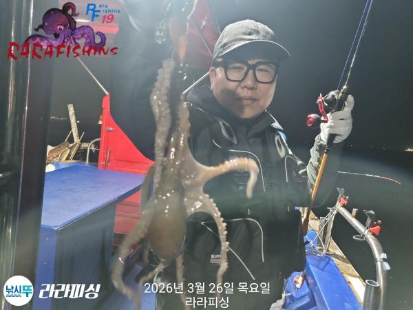 낚시뚜,낙지,돌문어,속천항(진해),라라피싱,낚시뚜20