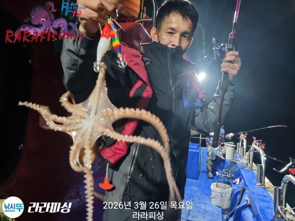 낚시뚜,낙지,돌문어,속천항(진해),라라피싱,낚시뚜19