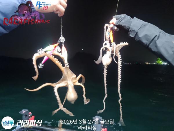 낚시뚜,낙지,돌문어,속천항(진해),라라피싱,낚시뚜15