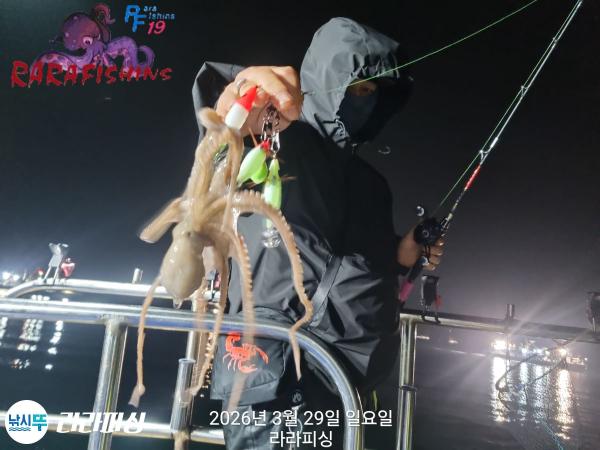 낚시뚜,낙지,돌문어,속천항(진해),라라피싱,낚시뚜9