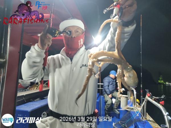 낚시뚜,낙지,돌문어,속천항(진해),라라피싱,낚시뚜8