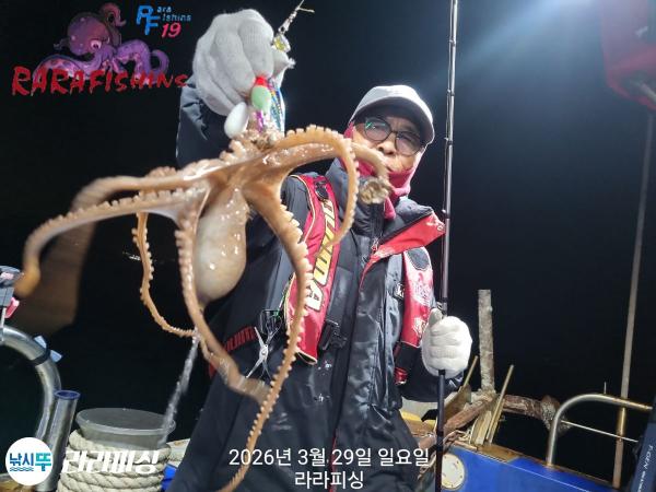 낚시뚜,낙지,돌문어,속천항(진해),라라피싱,낚시뚜7