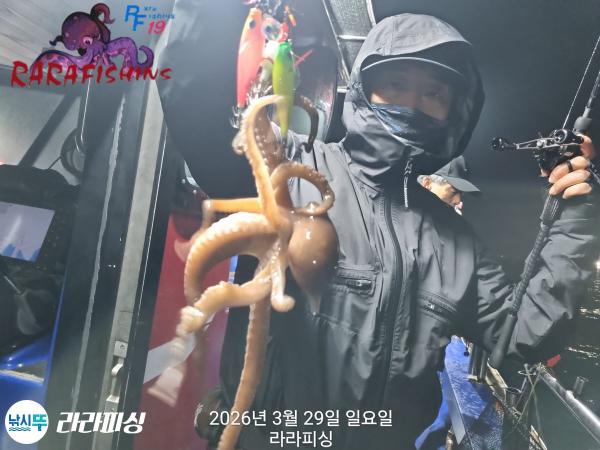 낚시뚜,낙지,돌문어,속천항(진해),라라피싱,낚시뚜6