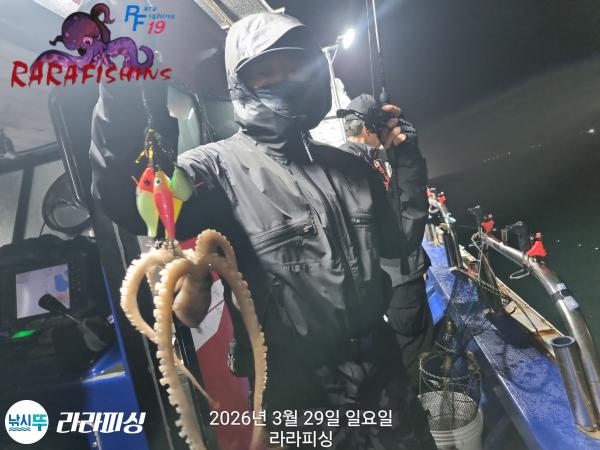 낚시뚜,낙지,돌문어,속천항(진해),라라피싱,낚시뚜4