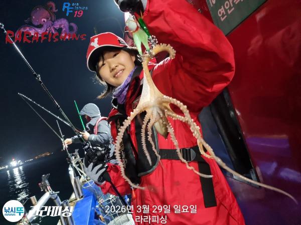 낚시뚜,낙지,돌문어,속천항(진해),라라피싱,낚시뚜1